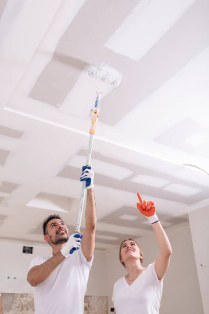 Best Black Mold Removal  in Amerin Nyon, CA
