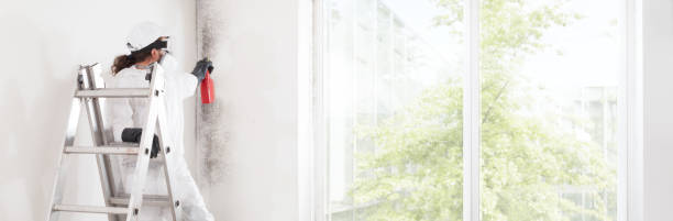 Best Biohazard Mold Removal  in Amerin Nyon, CA