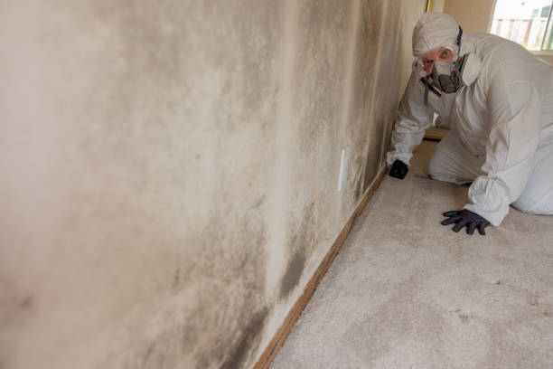 Best Asbestos and Lead Testing During Mold Inspection  in Amerin Nyon, CA